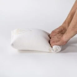 ABEIL Oreiller Voyage Aloe Vera - 45 X 25 Cm - Blanc -TODAY || DODO || Vision Soldes Boutique abeil oreiller voyage aloe vera 45 x 25 cm blanc 3087880011972 513626