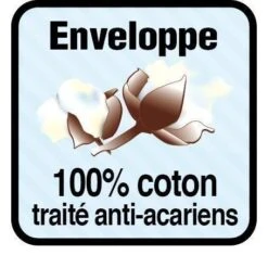 BLANREVE Lot De 2 Oreillers Anti-acariens 60 Cm -TODAY || DODO || Vision Soldes Boutique blanreve lot de 2 oreillers anti acariens 60 cm 3245841175884 513447