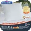 BLEU CALIN Oreiller A Mémoire De Forme Mémofill 60x60 Cm Blanc