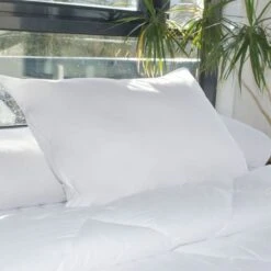 BLEU CALIN Oreiller Sur Mesure 50x70cm -TODAY || DODO || Vision Soldes Boutique bleu calin oreiller sur mesure 50x70cm 3153633291479 513484