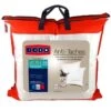 DODO Lot De 2 Oreillers ANTI TACHES 60x60cm