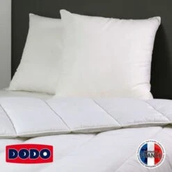 DODO UNIVERSITY Pack Comprenant 1 Couette Tempérée 140 X 200 Cm + 1 Oreiller Moelleux 60 X 60 Cm -TODAY || DODO || Vision Soldes Boutique dodo university pack comprenant 1 couette temperee 140 x 200 cm 1 oreiller moelleux 60 x 60 cm 3307410019286 423985